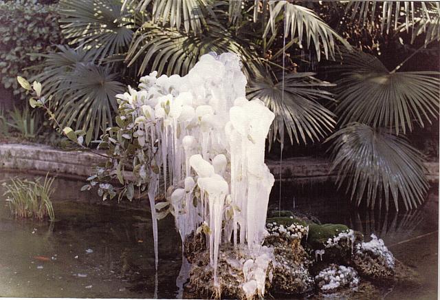 Cm reunion 1 folder155