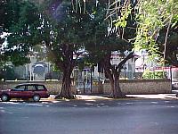 Cm reunion 1 folder162